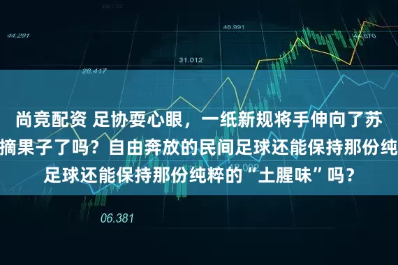 尚竞配资 足协耍心眼，一纸新规将手伸向了苏超，厚着脸皮开始摘果子了吗？自由奔放的民间足球还能保持那份纯粹的“土腥味”吗？