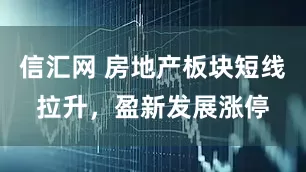 信汇网 房地产板块短线拉升，盈新发展涨停