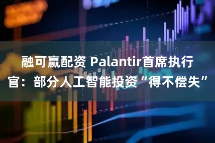 融可赢配资 Palantir首席执行官：部分人工智能投资“得不偿失”